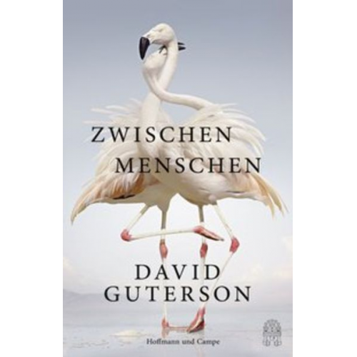 David Guterson - Zwischen Menschen