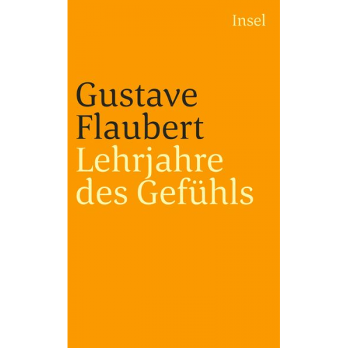 Gustave Flaubert - Lehrjahre des Gefühls