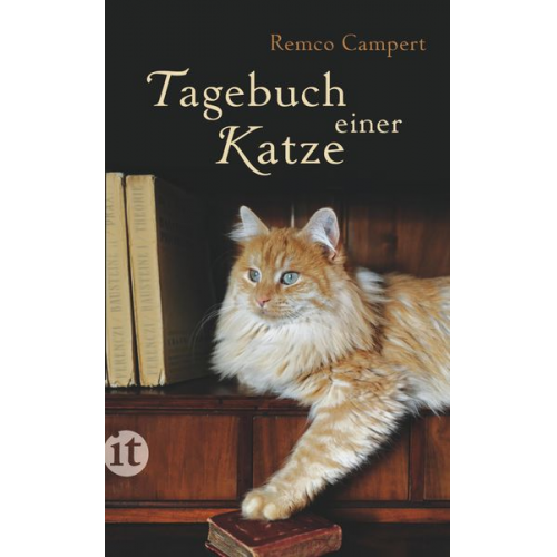 Remco Campert - Tagebuch einer Katze