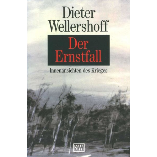 Dieter Wellershoff - Der Ernstfall