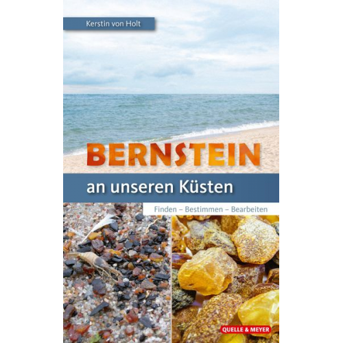 Kerstin Holt - Bernstein an unseren Küsten