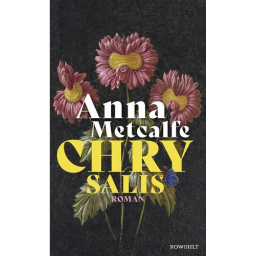 Anna Metcalfe - Chrysalis