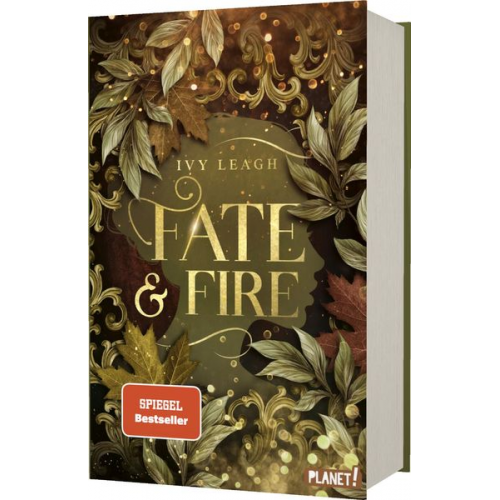 Ivy Leagh - Die Nordlicht-Saga 1: Fate and Fire