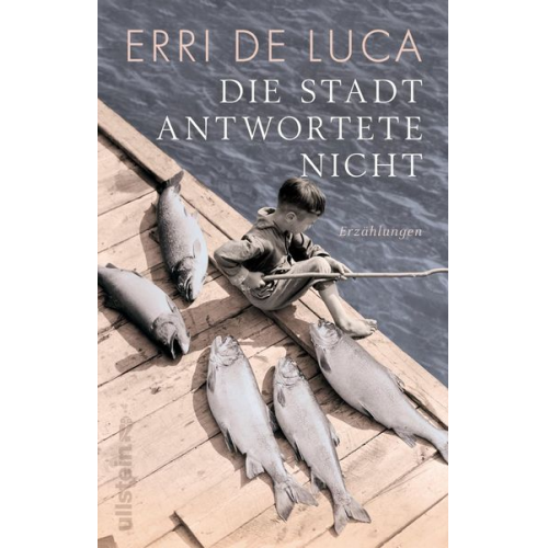 Erri De Luca - Die Stadt antwortete nicht