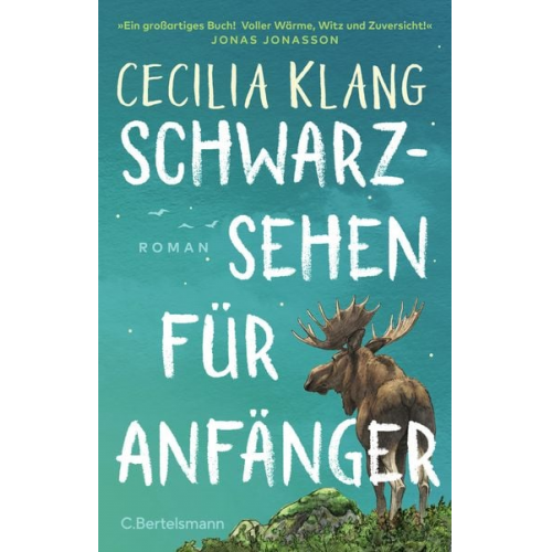 Cecilia Klang - Schwarzsehen für Anfänger