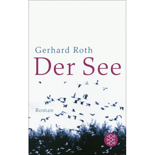 Gerhard Roth - Der See