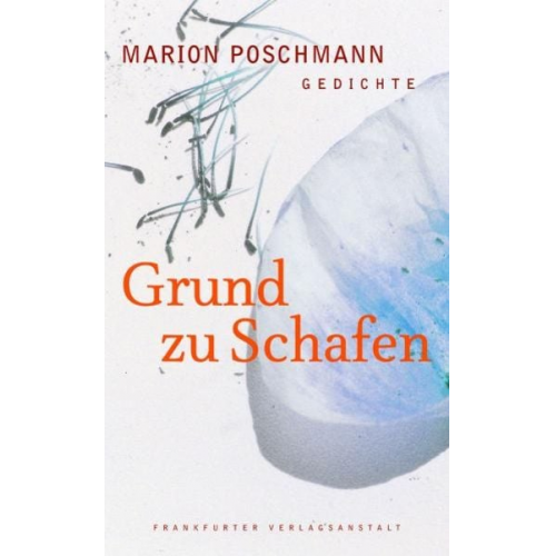 Marion Poschmann - Grund zu Schafen