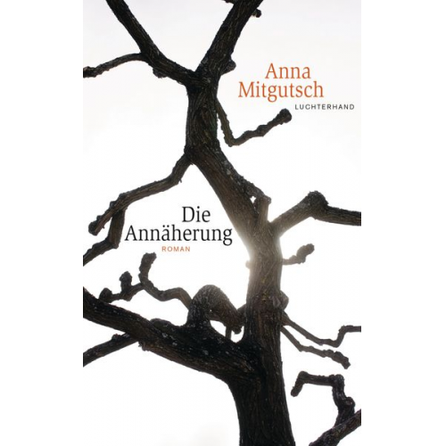 Anna Mitgutsch - Die Annäherung