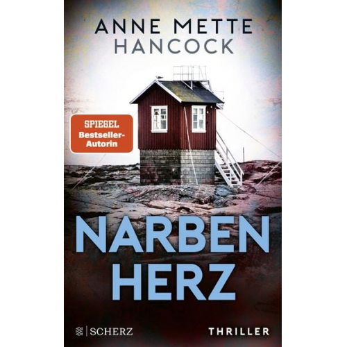 Anne Mette Hancock - Narbenherz