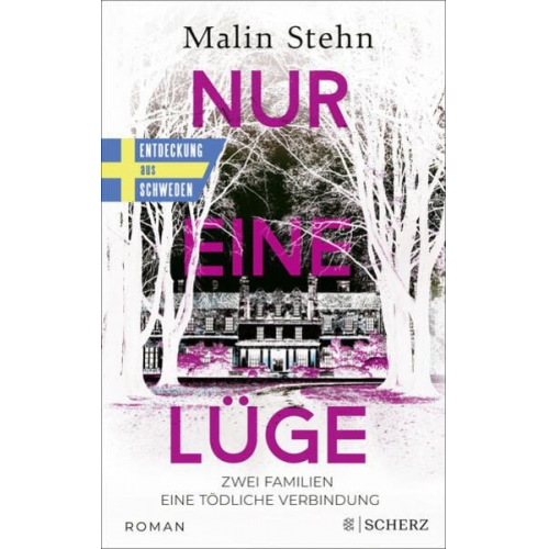 Malin Stehn - Nur eine Lüge – Zwei Familien, eine tödliche Verbindung