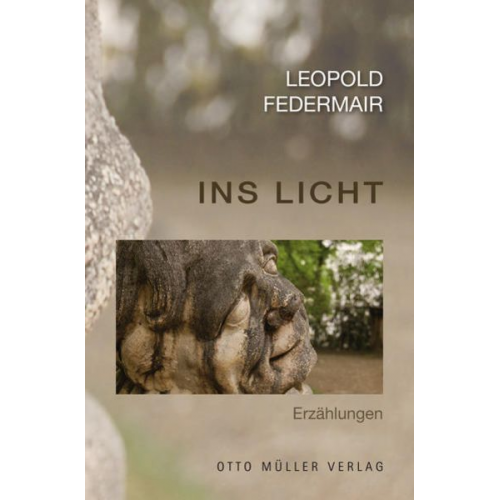 Leopold Federmair - Ins Licht