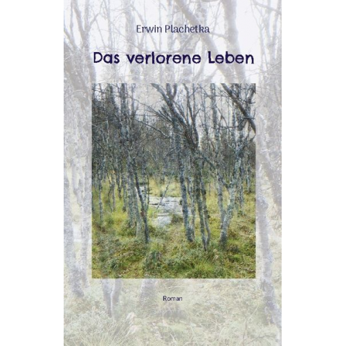 Erwin Plachetka - Das verlorene Leben