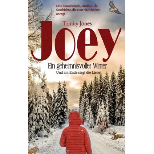 Trinity Jones - Joey Ein geheimnisvoller Winter