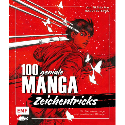 Harutyun Harutyunyan - 100 geniale Manga-Zeichentricks