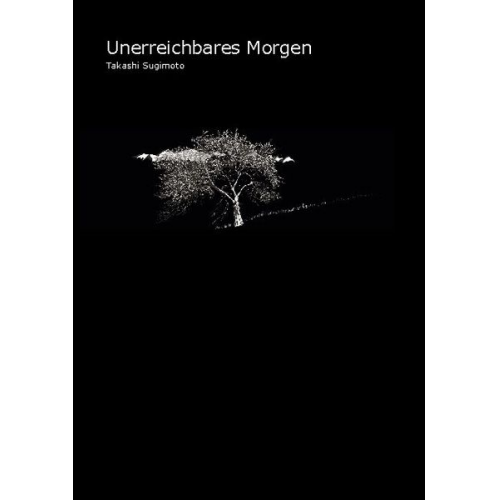 Takashi Sugimoto - Unerreichbares Morgen