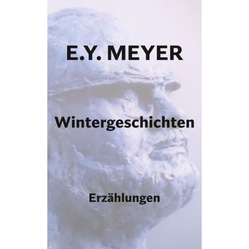 E. Y. Meyer - Wintergeschichten