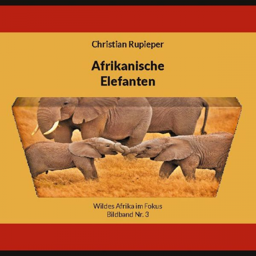 Christian Rupieper - Afrikanische Elefanten