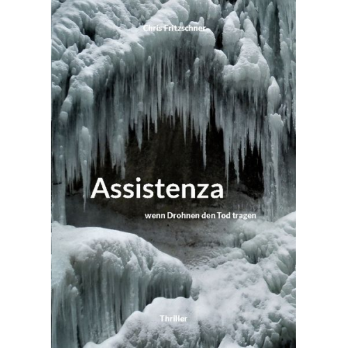 Chris Fritzschner - Assistenza