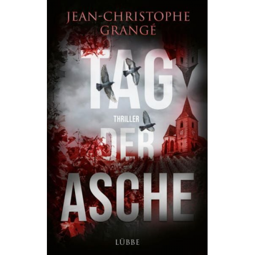 Jean-Christophe Grangé - Tag der Asche