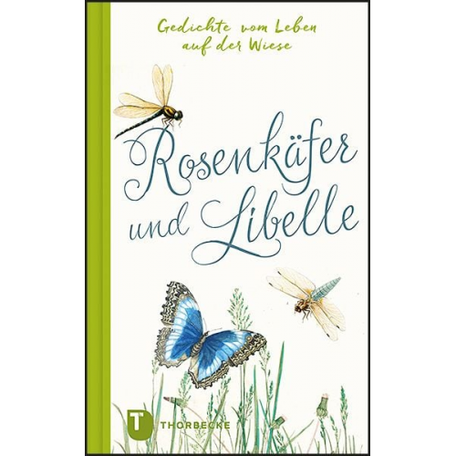 Rosenkäfer und Libelle