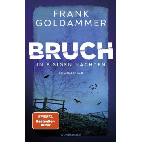 Frank Goldammer - Bruch: In eisigen Nächten