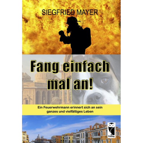 Siegfried Mayer - Fang einfach mal an!