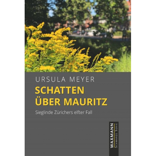 Ursula I. Meyer - Schatten über Mauritz