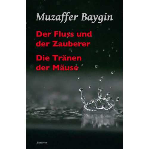 Muzaffer Baygin - Der Fluss und der Zauberer/Die Tränen der Mäuse