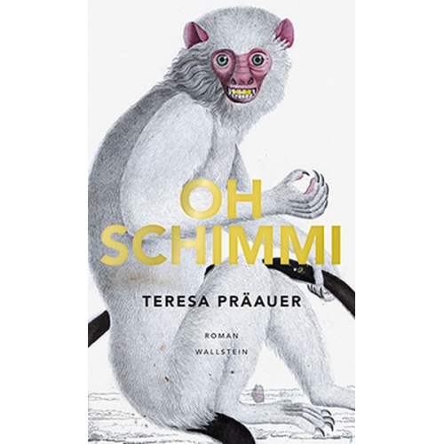 Teresa Präauer - Oh Schimmi