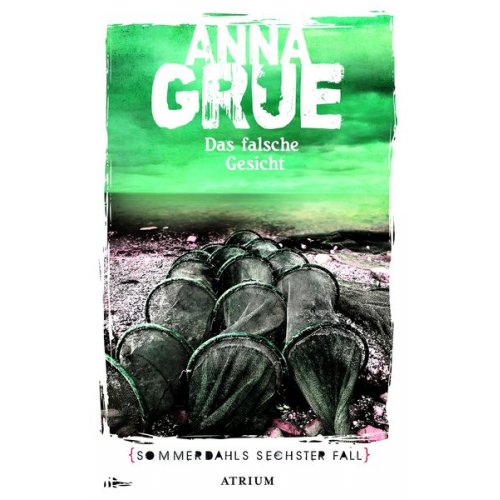 Anna Grue - Das falsche Gesicht / Dan Sommerdahl Bd.6