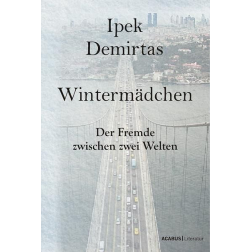 Ipek Demirtas - Wintermädchen. Der Fremde zwischen zwei Welten