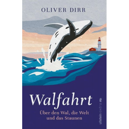 Oliver Dirr - Walfahrt