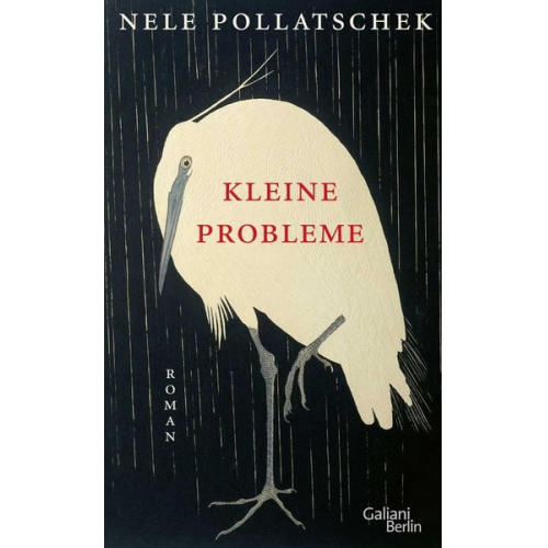 Nele Pollatschek - Kleine Probleme