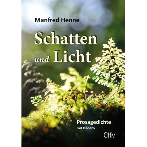 Manfred Henne - Schatten und Licht