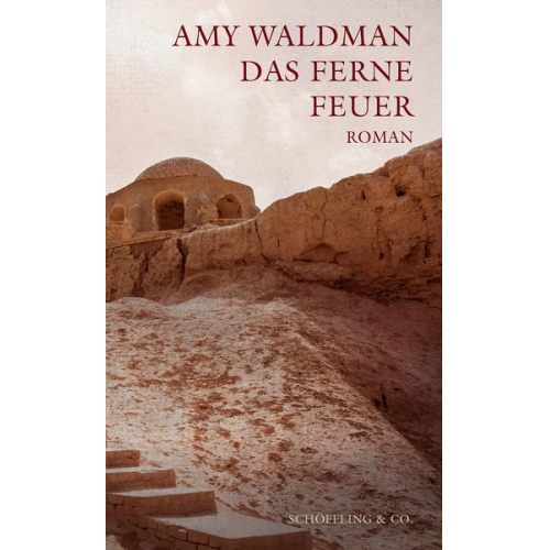 Amy Waldman - Das ferne Feuer