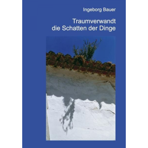 Ingeborg Bauer - Traumverwandt die Schatten der Dinge