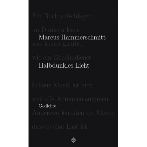 Marcus Hammerschmitt - Halbdunkles Licht