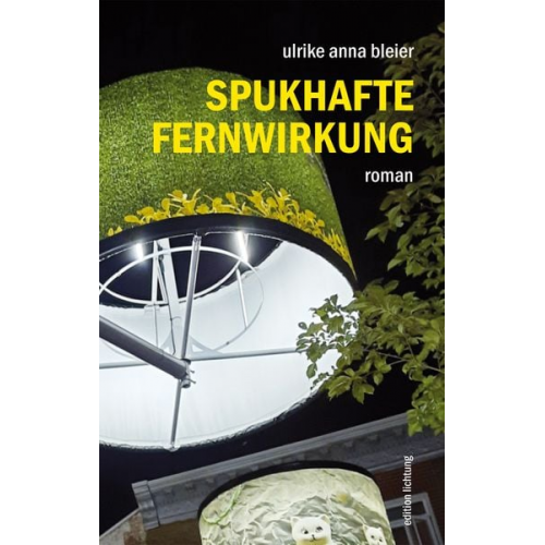 Ulrike Anna Bleier - Spukhafte Fernwirkung