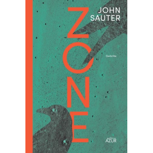 John Sauter - Zone