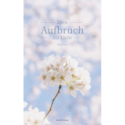 Hannah Buchholz - Dein Aufbruch ins Licht