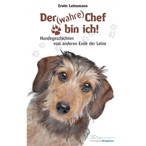 Erwin Leinemann - Der (wahre) Chef bin ich!