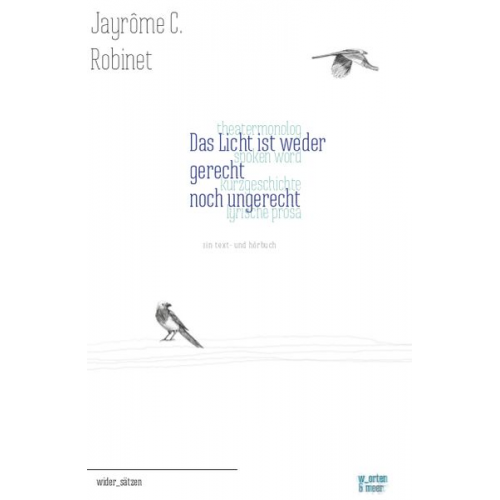 Jayrôme C. Robinet - Das Licht ist weder gerecht noch ungerecht