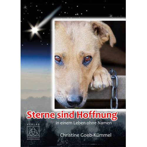 Christine Goeb-Kümmel - Sterne sind Hoffnung