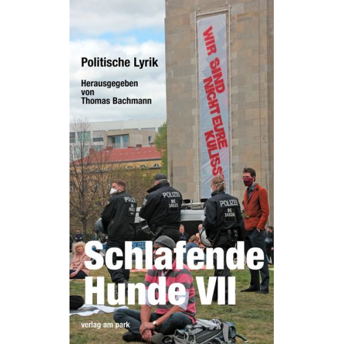 Schlafende Hunde VII