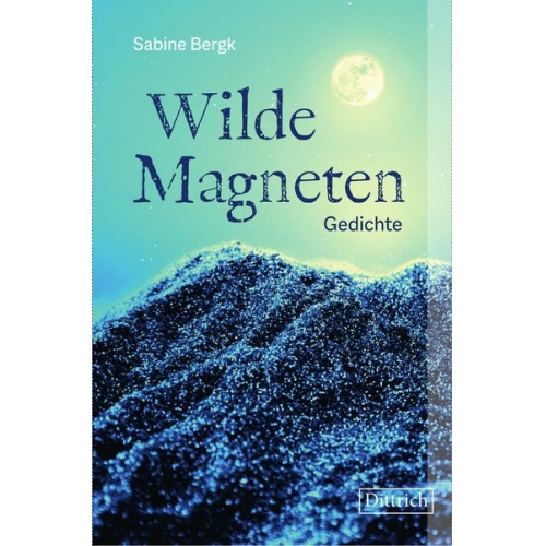 Sabine Bergk - Wilde Magneten