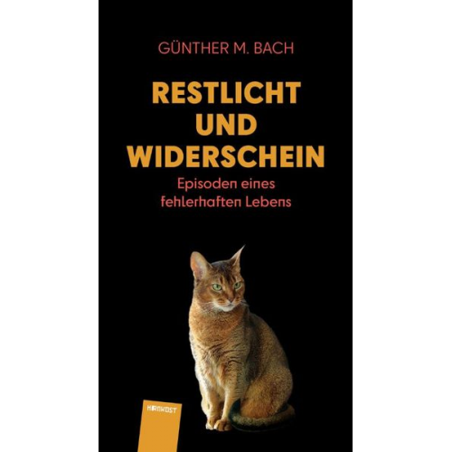 Günther M. Bach - Restlicht und Widerschein