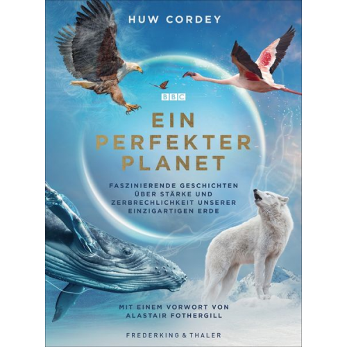 Huw Cordey - Ein perfekter Planet