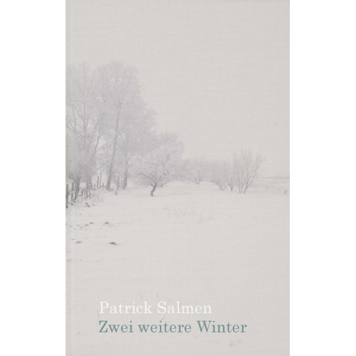 Patrick Salmen - Zwei weitere Winter