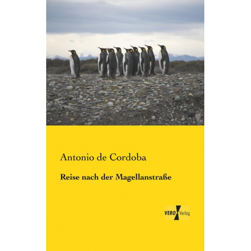 Antonio de Cordoba - Reise nach der Magellanstraße