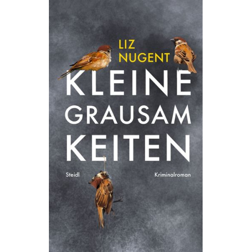 Liz Nugent - Kleine Grausamkeiten